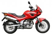 2011 Jialing JH600 photo